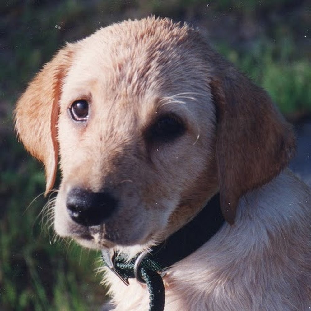 Meet your Posher, Ella